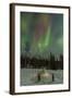 USA, Alaska, Fairbanks. a Quinzee Snow Shelter and Aurora Borealis-Cathy & Gordon Illg-Framed Photographic Print