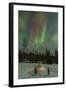 USA, Alaska, Fairbanks. a Quinzee Snow Shelter and Aurora Borealis-Cathy & Gordon Illg-Framed Photographic Print