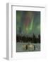 USA, Alaska, Fairbanks. a Quinzee Snow Shelter and Aurora Borealis-Cathy & Gordon Illg-Framed Photographic Print