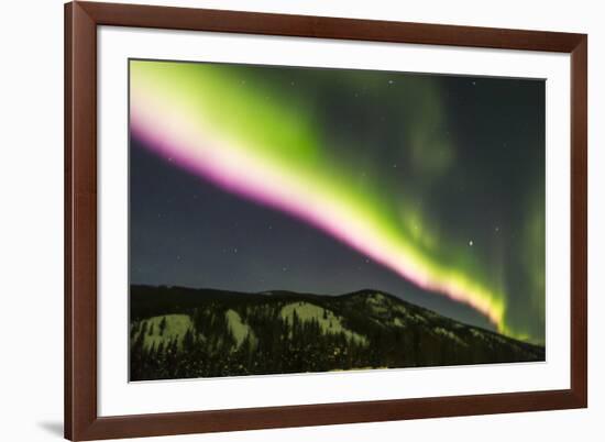 USA, Alaska, Fairbanks. Aurora borealis at night.-Jaynes Gallery-Framed Premium Photographic Print