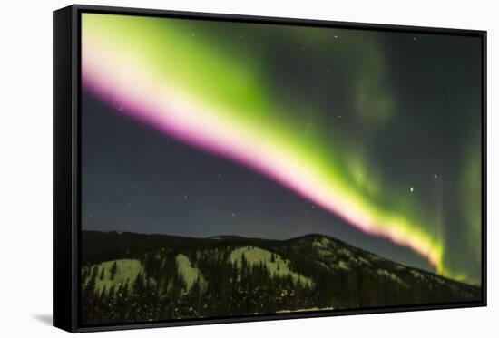 USA, Alaska, Fairbanks. Aurora borealis at night.-Jaynes Gallery-Framed Stretched Canvas