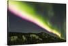 USA, Alaska, Fairbanks. Aurora borealis at night.-Jaynes Gallery-Stretched Canvas