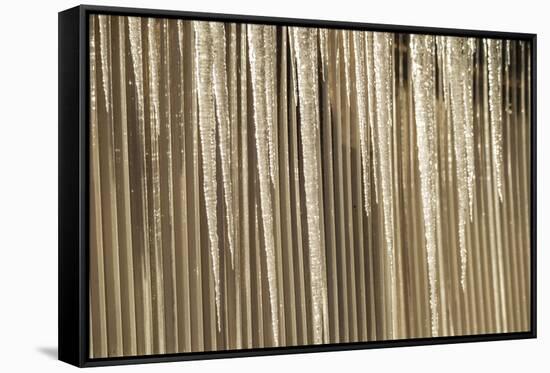 USA, Alaska, Fairbanks. Sun reflects on icicles.-Jaynes Gallery-Framed Stretched Canvas