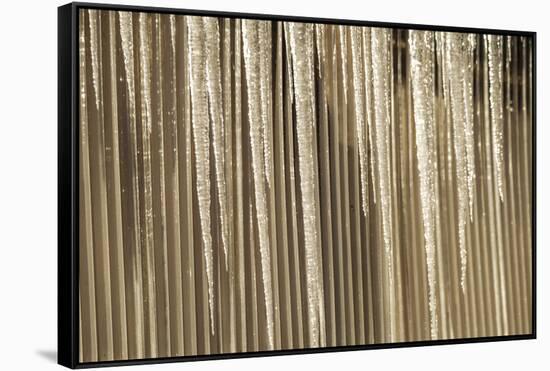 USA, Alaska, Fairbanks. Sun reflects on icicles.-Jaynes Gallery-Framed Stretched Canvas