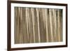 USA, Alaska, Fairbanks. Sun reflects on icicles.-Jaynes Gallery-Framed Photographic Print