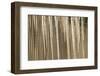 USA, Alaska, Fairbanks. Sun reflects on icicles.-Jaynes Gallery-Framed Photographic Print