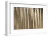 USA, Alaska, Fairbanks. Sun reflects on icicles.-Jaynes Gallery-Framed Photographic Print