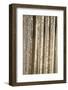 USA, Alaska, Fairbanks. Sun reflects on icicles.-Jaynes Gallery-Framed Photographic Print