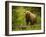 USA, Alaska, Female grizzly bear and cub-George Theodore-Framed Photographic Print