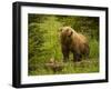 USA, Alaska, Female grizzly bear and cub-George Theodore-Framed Photographic Print