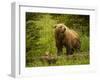 USA, Alaska, Female grizzly bear and cub-George Theodore-Framed Photographic Print