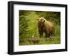 USA, Alaska, Female grizzly bear and cub-George Theodore-Framed Photographic Print