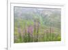 USA, Alaska. Fireweed and Upper Willow Creek.-Jaynes Gallery-Framed Photographic Print