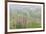 USA, Alaska. Fireweed and Upper Willow Creek.-Jaynes Gallery-Framed Photographic Print