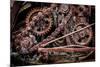 USA, Alaska. Gears and chains-Jaynes Gallery-Mounted Premium Photographic Print