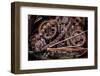 USA, Alaska. Gears and chains-Jaynes Gallery-Framed Photographic Print