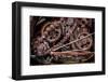 USA, Alaska. Gears and chains-Jaynes Gallery-Framed Photographic Print