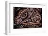 USA, Alaska. Gears and chains-Jaynes Gallery-Framed Photographic Print