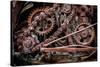 USA, Alaska. Gears and chains-Jaynes Gallery-Stretched Canvas
