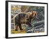 USA, Alaska, Glacier Bay National Park. Brown Bear on Beach-Jaynes Gallery-Framed Photographic Print