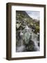 USA, Alaska, Glacier Bay National Park. Cascading Small Stream-Jaynes Gallery-Framed Photographic Print