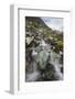 USA, Alaska, Glacier Bay National Park. Cascading Small Stream-Jaynes Gallery-Framed Photographic Print