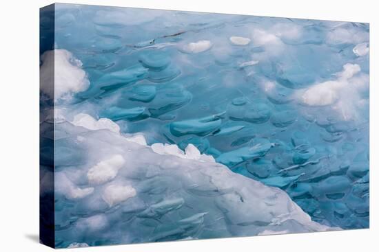 USA, Alaska, Glacier Bay National Park. Close-up of Blue Ice-Don Paulson-Stretched Canvas