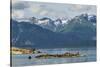 USA, Alaska, Glacier Bay National Park. Stellar's sea lions resting.-Cathy and Gordon Illg-Stretched Canvas