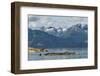 USA, Alaska, Glacier Bay National Park. Stellar's sea lions resting.-Cathy and Gordon Illg-Framed Photographic Print