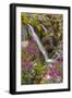 USA, Alaska, Glacier Bay NP. Fireweed and two waterfall streams.-Cathy and Gordon Illg-Framed Photographic Print