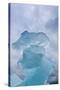 USA, Alaska, Glacier Bay NP. Towering ice formation and storm clouds.-Don Paulson-Stretched Canvas