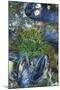 USA, Alaska. Green moon glow anemone and blue mussels in a tide pool.-Margaret Gaines-Mounted Photographic Print