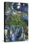 USA, Alaska. Green moon glow anemone and blue mussels in a tide pool.-Margaret Gaines-Stretched Canvas