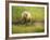 USA, Alaska, Grizzly Bear Cub-George Theodore-Framed Photographic Print