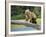 USA, Alaska, Grizzly Bear Cub-George Theodore-Framed Photographic Print