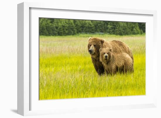 USA, Alaska, Grizzly Bear with Cub-George Theodore-Framed Photographic Print