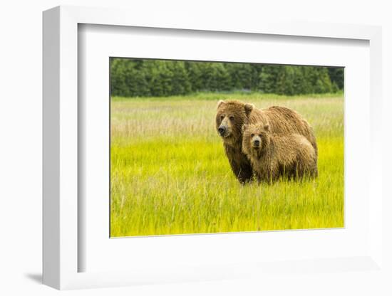 USA, Alaska, Grizzly Bear with Cub-George Theodore-Framed Photographic Print