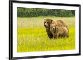 USA, Alaska, Grizzly Bear with Cub-George Theodore-Framed Premium Photographic Print