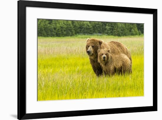 USA, Alaska, Grizzly Bear with Cub-George Theodore-Framed Premium Photographic Print