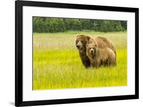 USA, Alaska, Grizzly Bear with Cub-George Theodore-Framed Premium Photographic Print