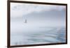 USA, Alaska, Inian Island. Seagull flies over boat wake on foggy day.-Don Paulson-Framed Photographic Print