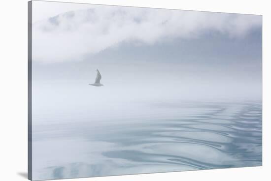 USA, Alaska, Inian Island. Seagull flies over boat wake on foggy day.-Don Paulson-Stretched Canvas
