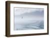 USA, Alaska, Inian Island. Seagull flies over boat wake on foggy day.-Don Paulson-Framed Photographic Print