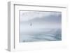 USA, Alaska, Inian Island. Seagull flies over boat wake on foggy day.-Don Paulson-Framed Photographic Print