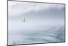 USA, Alaska, Inian Island. Seagull flies over boat wake on foggy day.-Don Paulson-Mounted Photographic Print