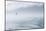 USA, Alaska, Inian Island. Seagull flies over boat wake on foggy day.-Don Paulson-Mounted Photographic Print