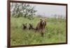 USA, Alaska, Katmai National Park, Hallo Bay. Coastal Brown Bear with twins-Frank Zurey-Framed Photographic Print