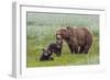 USA, Alaska, Katmai National Park, Hallo Bay. Coastal Brown Bear with twins-Frank Zurey-Framed Photographic Print