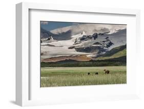 USA, Alaska, Katmai National Park, Hallo Bay. Coastal Brown Bear with twins-Frank Zurey-Framed Photographic Print