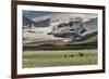 USA, Alaska, Katmai National Park, Hallo Bay. Coastal Brown Bear with twins-Frank Zurey-Framed Photographic Print